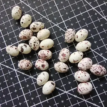 1pcs/veliko smolo Simulirani prepelice jajca zmešamo velikost simulacije hrane Chrysoprase Album DIY telefon dekoracijo B304-3