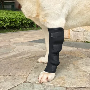 Hišni Pes Povoji Pes Injurie Noge, Kolena Zatega Traku Zaščito Za Pse Skupno Povoj Zaviti Doggy Medicinske Oskrbe Psov Dodatki