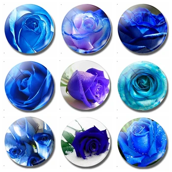 Modra Enchantress Stekla, Hladilnik Magneti Cvetenja Vrtnic 30 MM Magnetne Hladilnik Nalepke Hladilnik Memo Ustvarjalni Dom Dekor